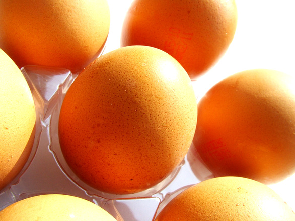 eggs-1561796