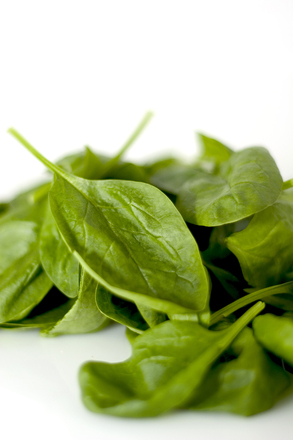 spinach-1322063