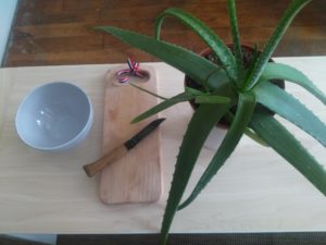 aloe vera