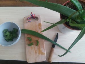 aloe vera