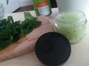 aloe vera