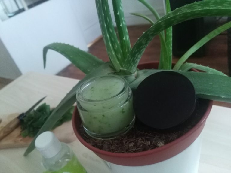 Gel d&rsquo;aloe vera maison