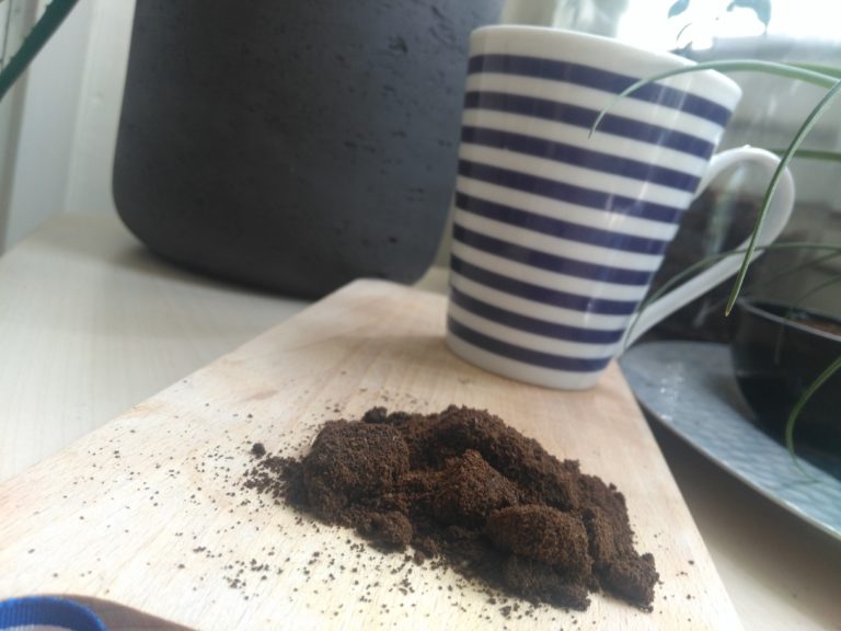 Les vertus du marc de café