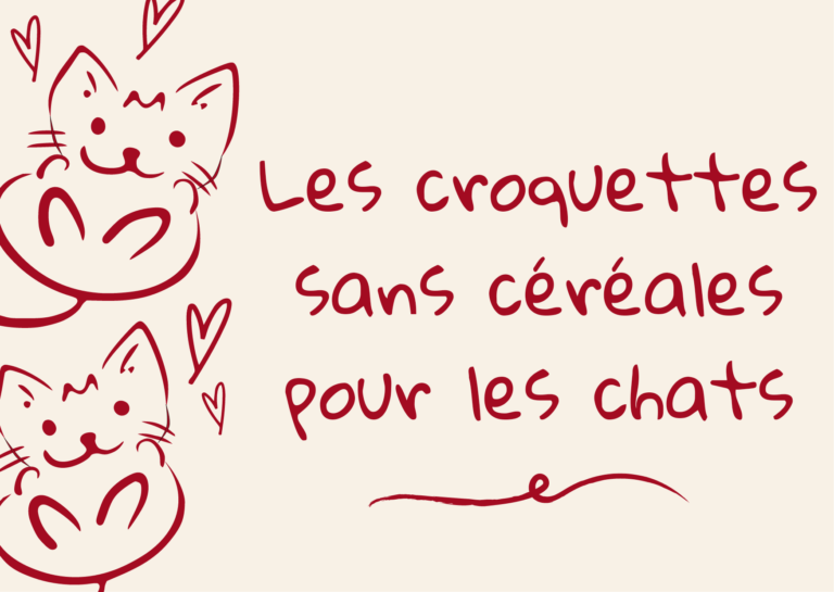 Les croquettes sans céréales encore une arnaque ?