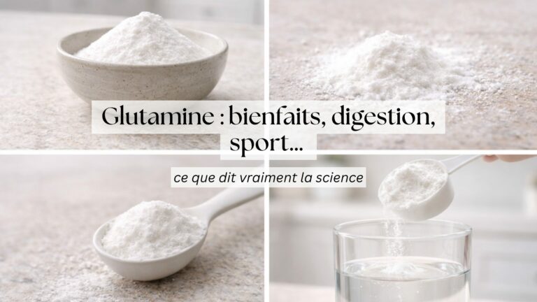 Glutamine : bienfaits, digestion, sport… ce que dit vraiment la science